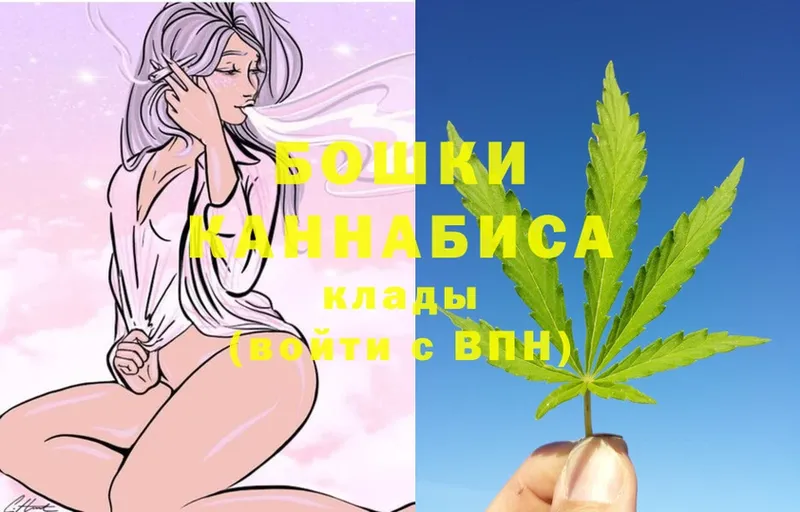 мега ссылки  продажа наркотиков  Новомосковск  Каннабис Bruce Banner 